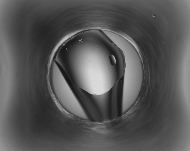 X0000086081144200703301123