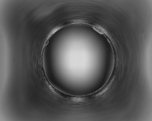 X0000086081145200703301123