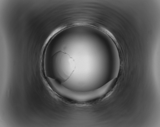 X0000086081146200703301123