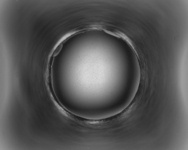 X0000086081147200703301123