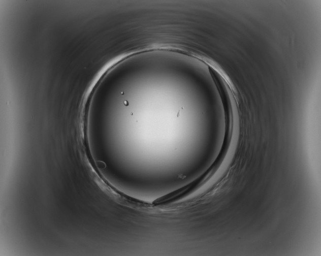 X0000086081148200703301123