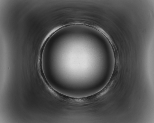 X0000086081149200703301123