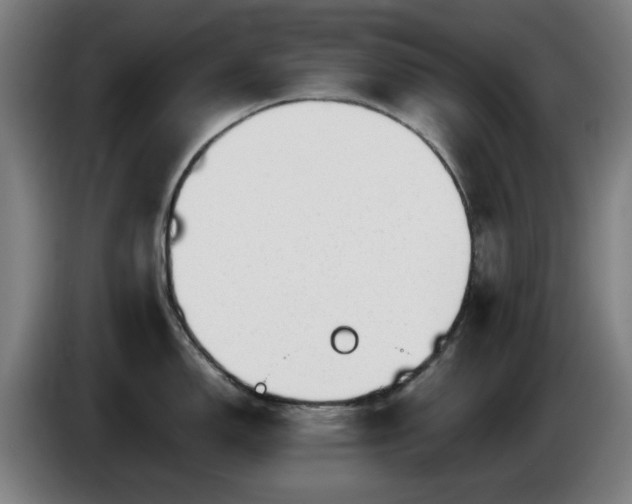 X0000086081150200703301123