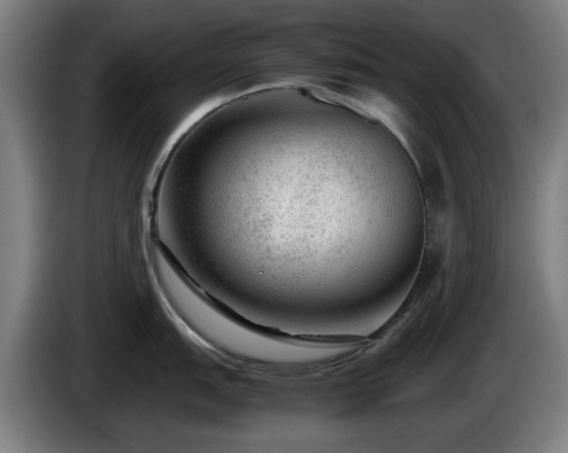 X0000086081151200703301123