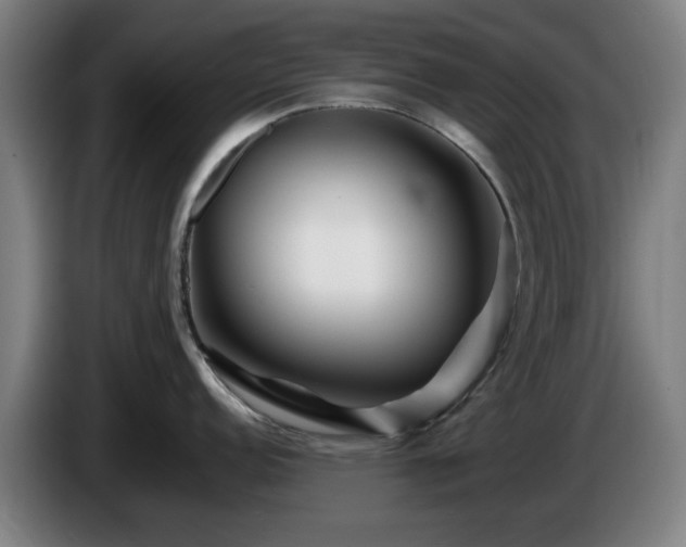 X0000086081152200703301123