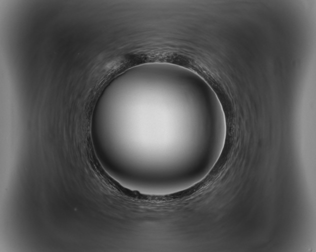 X0000086081153200703301122