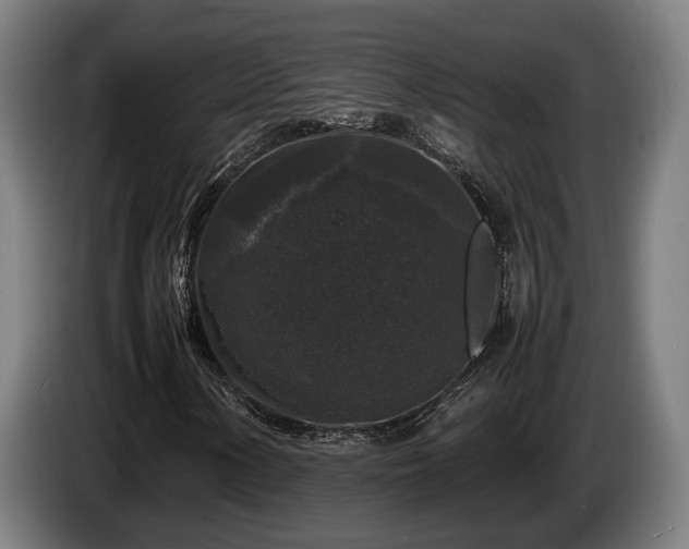 X0000086081154200703301122