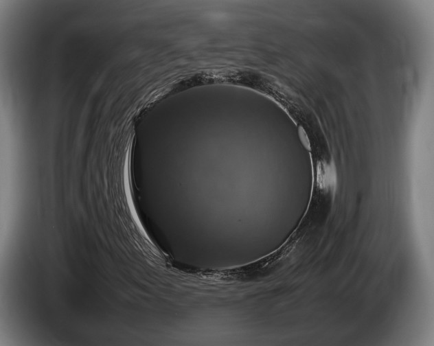 X0000086081155200703301122