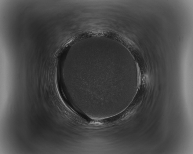 X0000086081156200703301122