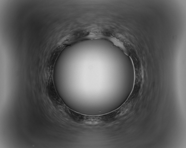 X0000086081157200703301122