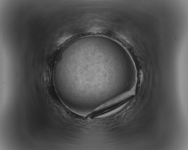 X0000086081158200703301122