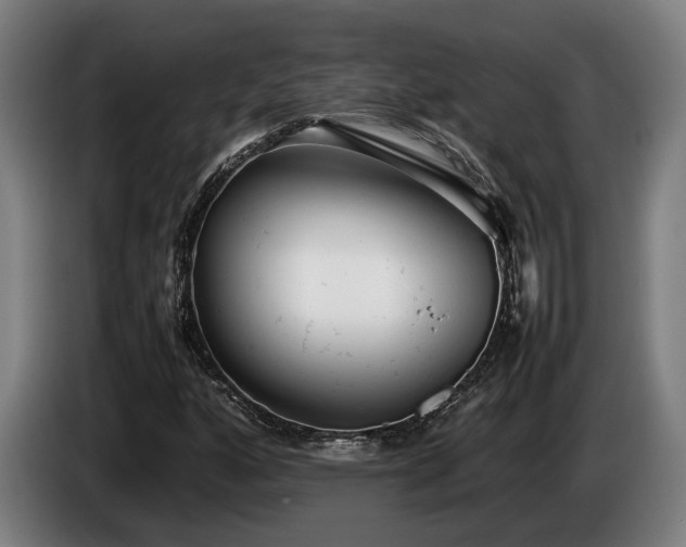 X0000086081160200703301122