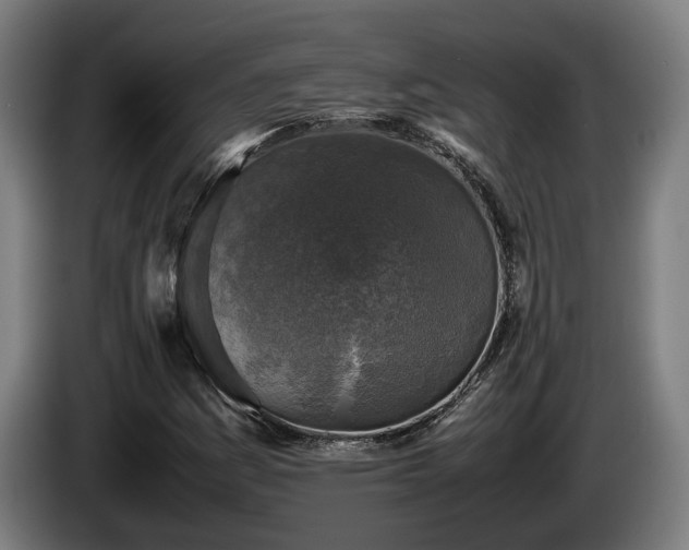 X0000086081161200703301122