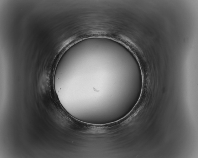 X0000086081162200703301122