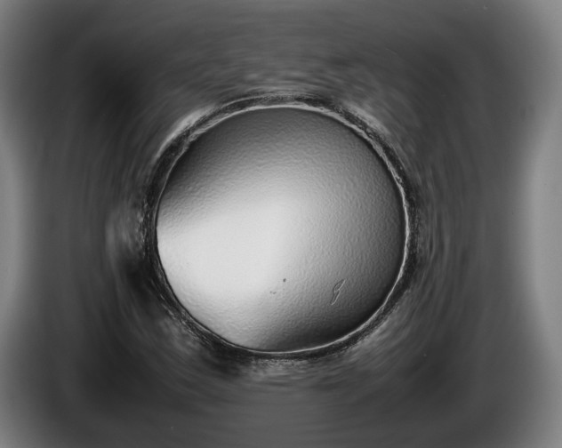 X0000086081163200703301122