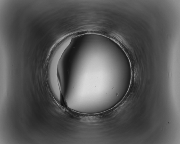 X0000086081164200703301122