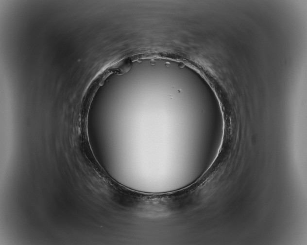 X0000086081165200703301122