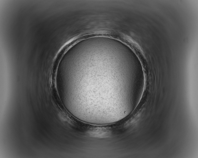 X0000086081166200703301122