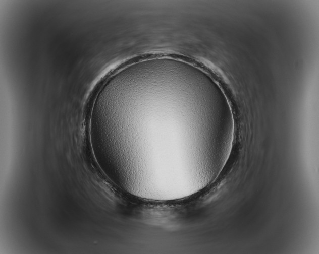 X0000086081167200703301122