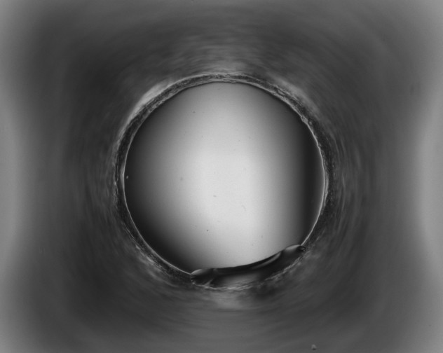 X0000086081168200703301122