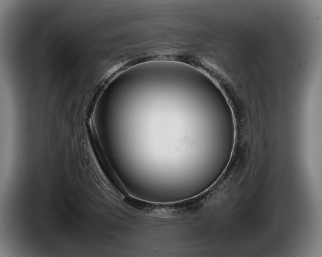 X0000086081169200703301122