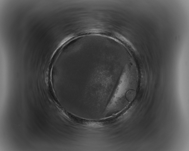 X0000086081170200703301122