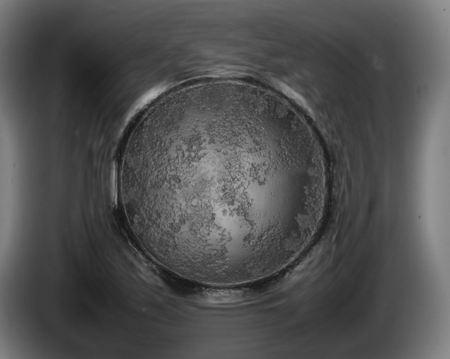 X0000086081171200703301122