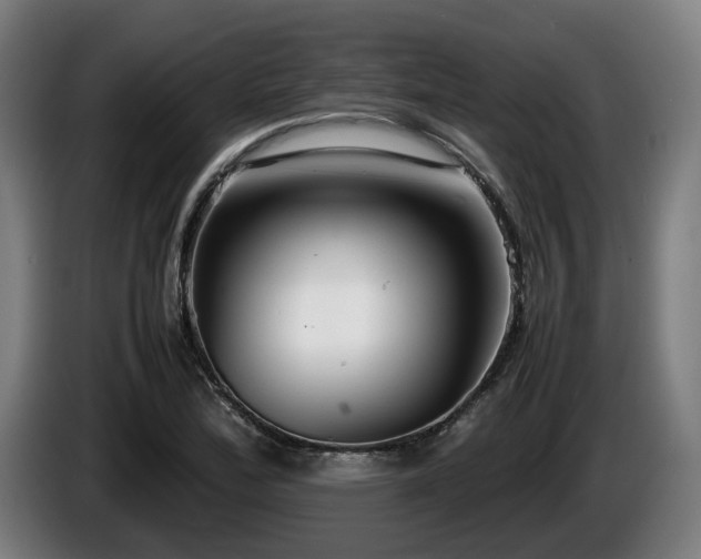 X0000086081172200703301122