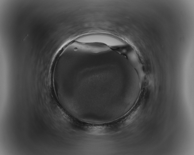 X0000086081173200703301122