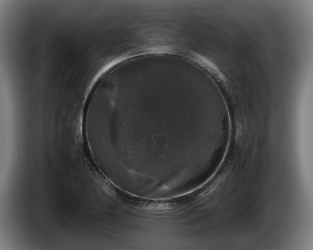 X0000086081174200703301122