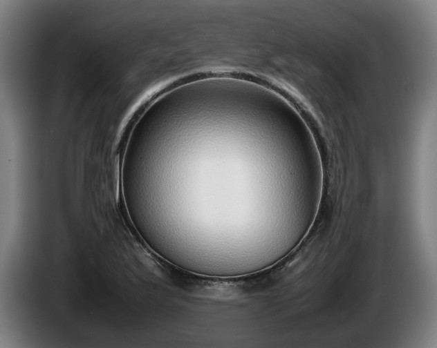 X0000086081175200703301122