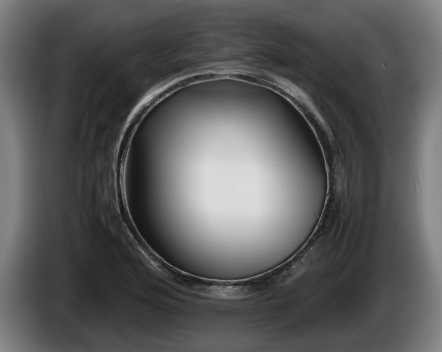 X0000086081176200703301122