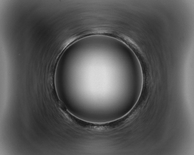 X0000086081177200703301122