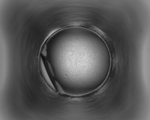 X0000086081178200703301122