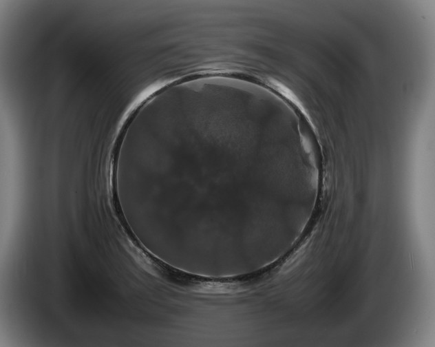 X0000086081179200703301121