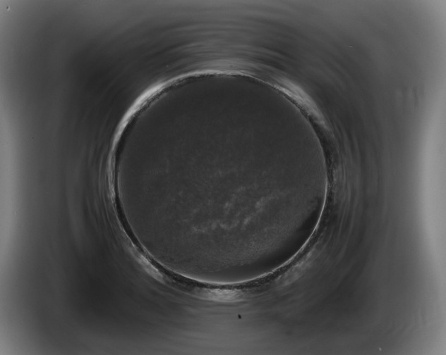 X0000086081180200703301121