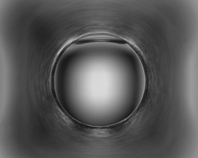 X0000086081181200703301121