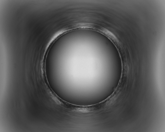 X0000086081182200703301121