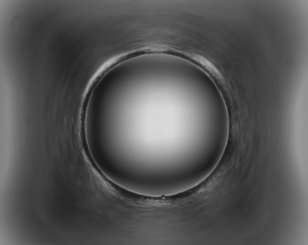 X0000086081183200703301121