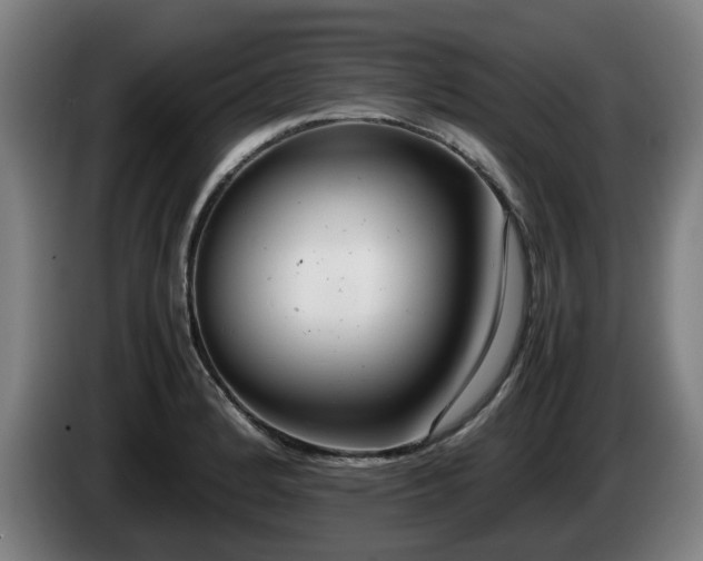 X0000086081184200703301121