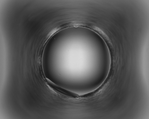 X0000086081185200703301121