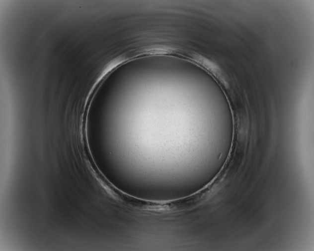 X0000086081186200703301121