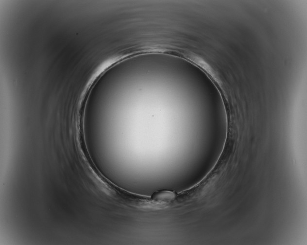 X0000086081187200703301121