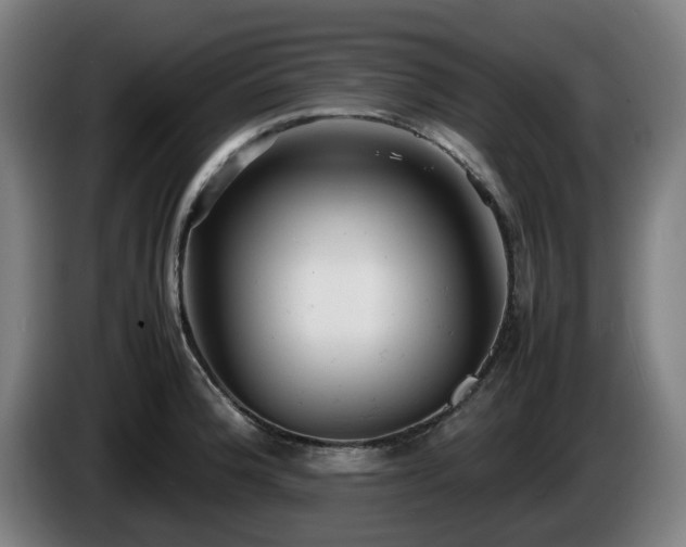 X0000086081188200703301121