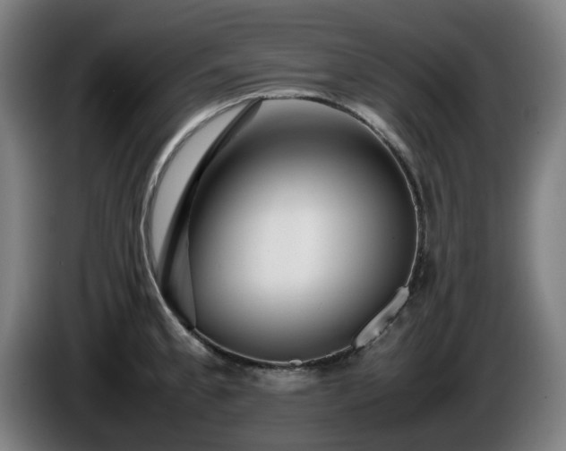 X0000086081189200703301121