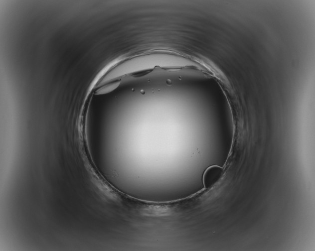 X0000086081190200703301121