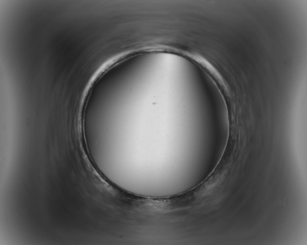 X0000086081191200703301121