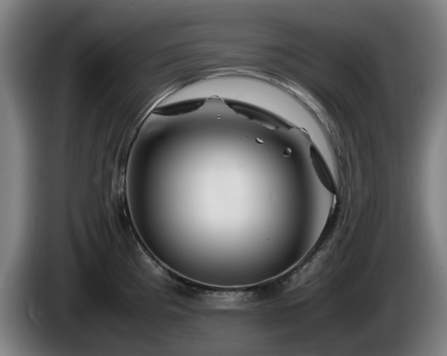 X0000086081193200703301121