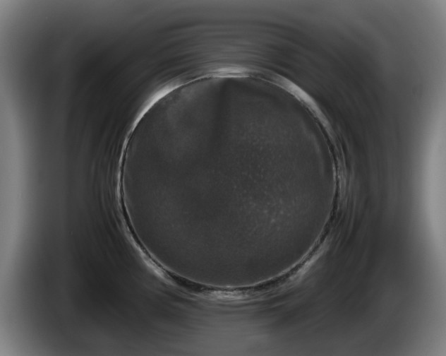 X0000086081194200703301121