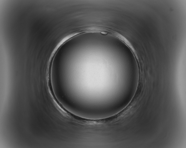 X0000086081195200703301121